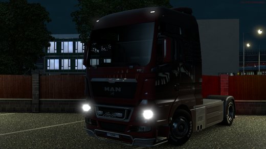 MAN TGX Euro 5