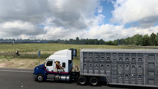 Freightliner Cascadia 2019