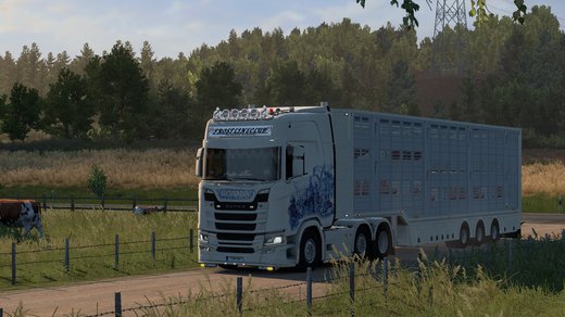Scania S