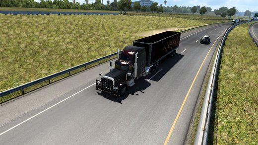 Peterbilt 389