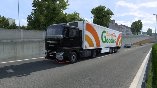 MAN TGX