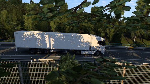 DAF 2021