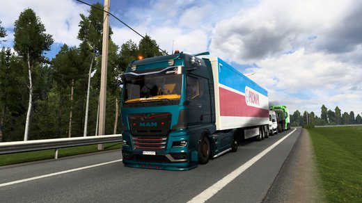 MAN TGX