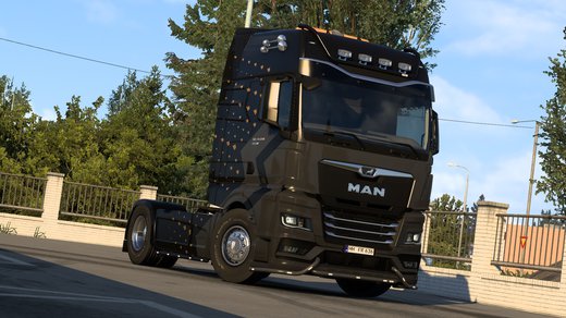 MAN TGX