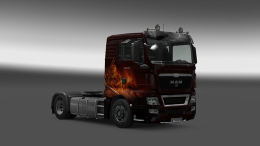 MAN TGX Euro 5