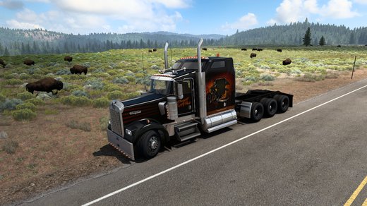 Kenworth W900