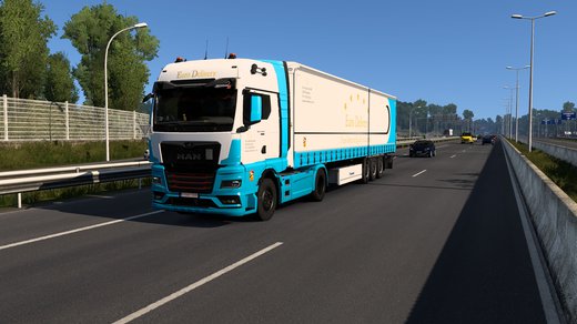 MAN TGX