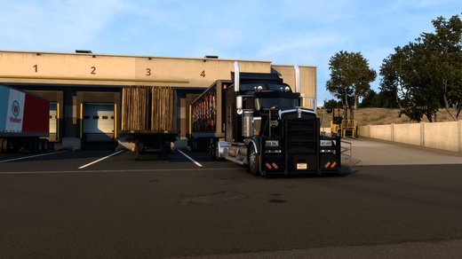Kenworth W900