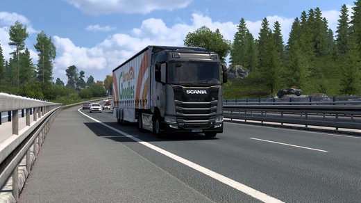 Scania S