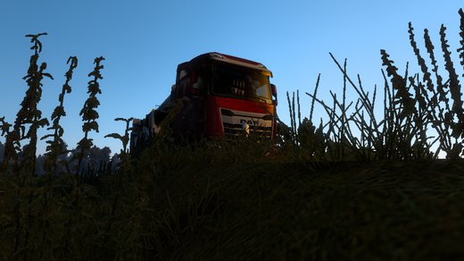 DAF 2021
