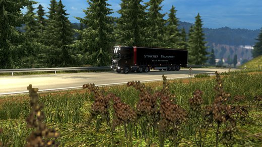 Scania R 2009