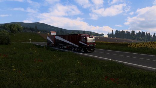 MAN TGX