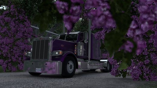 Peterbilt 389