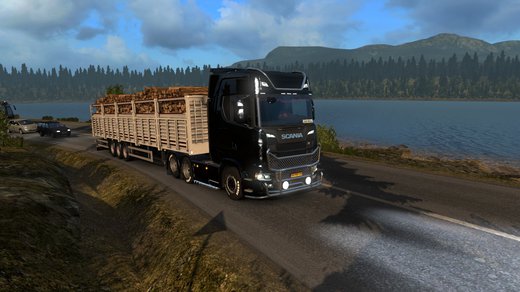Scania S