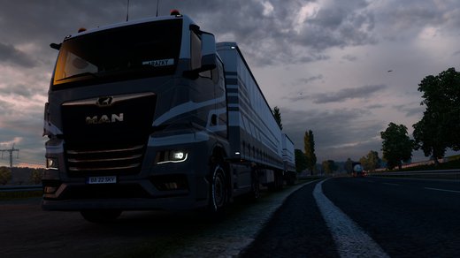 MAN TGX