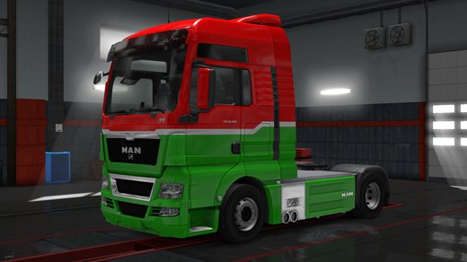 MAN TGX Euro 5