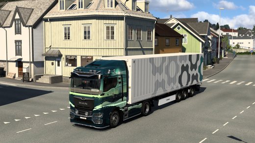 MAN TGX