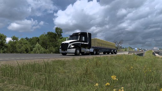 International LT