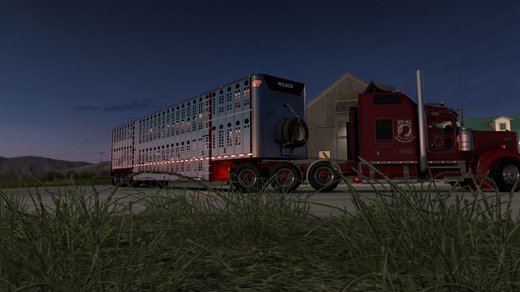 Kenworth W900 CUSTOM