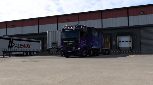 MAN TGX