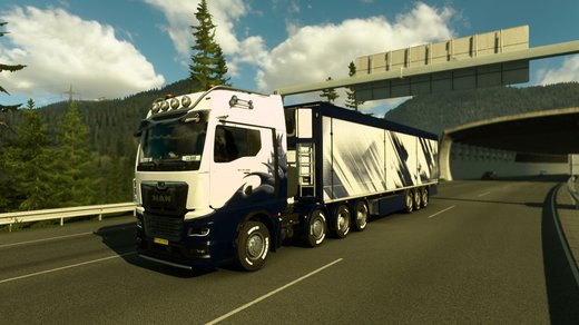 MAN TGX