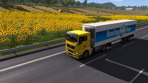 MAN TGX Euro 5