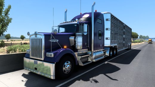 Kenworth W900
