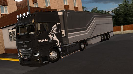 MAN TGX_2020