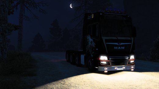 MAN TGX Euro 6