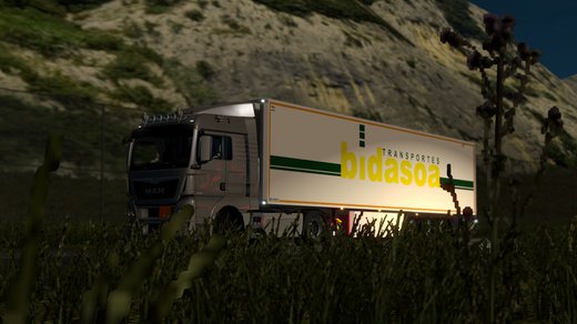 MAN TGX Euro6