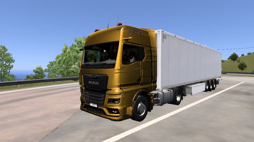 MAN TGX