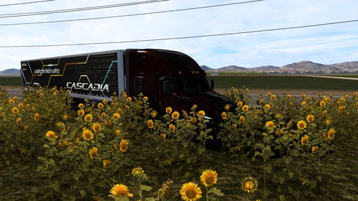 Freightliner Cascadia 2019