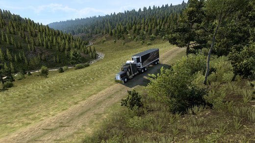 Peterbilt 389