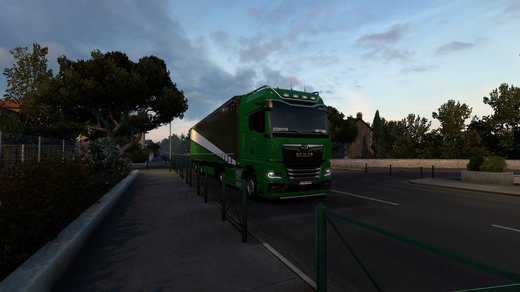 MAN TGX