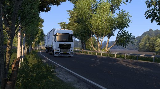 MAN TGX
