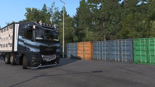 MAN TGX