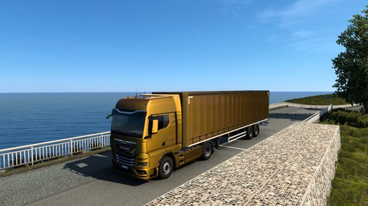 MAN TGX