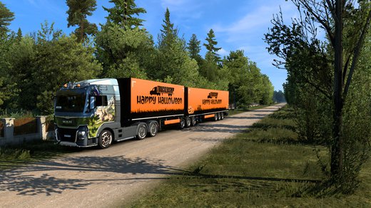 MAN TGX Euro 6