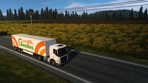 Volvo FH6