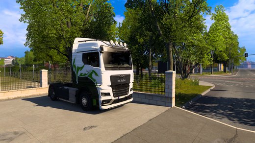 MAN TGX