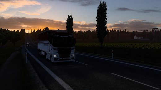 MAN TGX