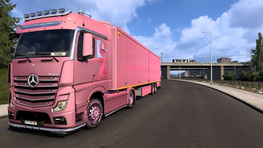 Mercedes-Benz New Actros