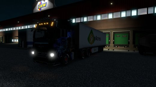 MAN TGX Euro 5