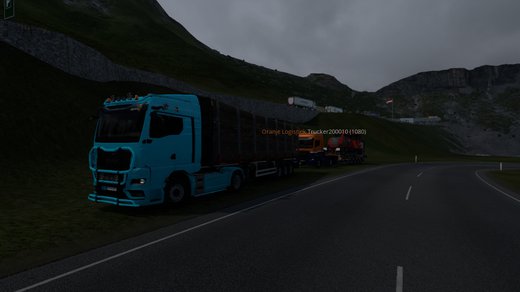 MAN TGX
