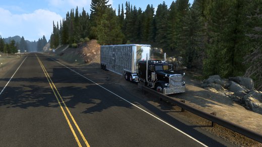 Peterbilt 389