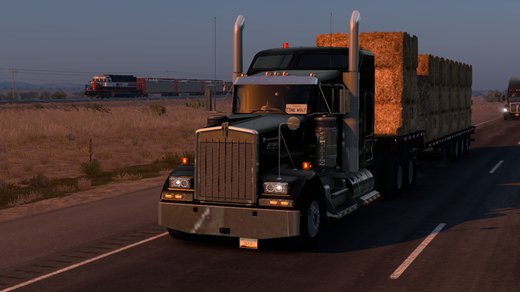 Kenworth W900