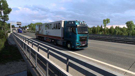 MAN TGX