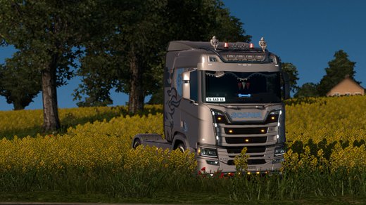 Scania R