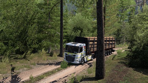 DAF XD