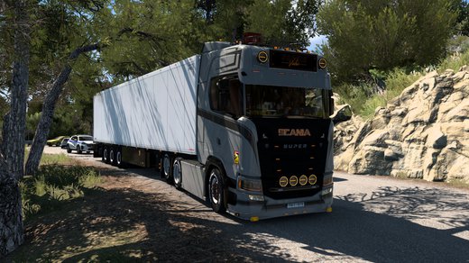 Scania S